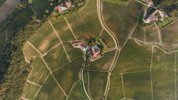 Celestial Countryside Estates in Italy Piedmont Vineyard Bliss