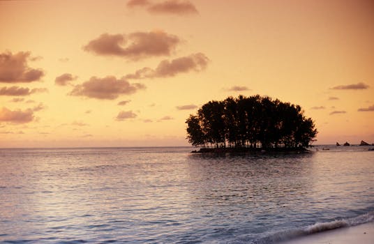 Celestial Island Hotels in Seychelles La Digue Horizon Serenity