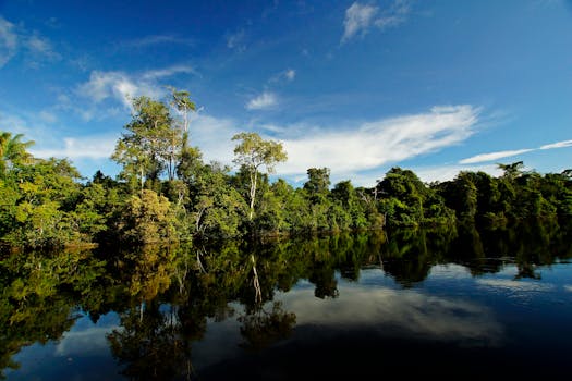 Celestial Rainforest Resorts in Brazil Amazon River Canopy Grandeur