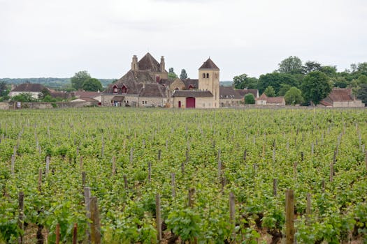 Emerald Vineyard Hotels in France Burgundy Countryside Grandeur