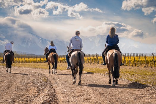 Ethereal Vineyard Hotels in Argentina Mendoza Wine Valleys