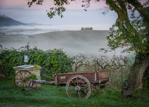 Mystic Countryside Hotels in Italy Emilia Romagna Vineyard Bliss