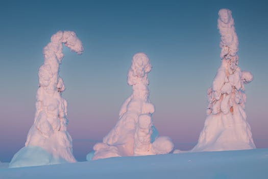Oasis Arctic Resorts in Finland Rovaniemi Aurora Bliss