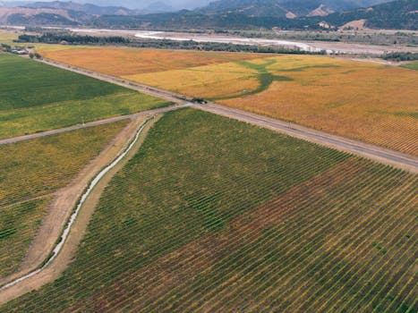 Prestige Vineyard Estates in Chile Colchagua Valley Countryside