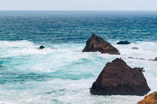 Regal Seaside Hotels in Portugal Madeira Coastal Serenity