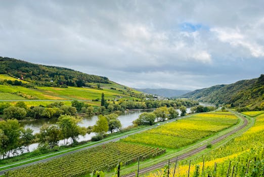 Tranquil Vineyard Hotels in Germany Moselle Valley Countryside